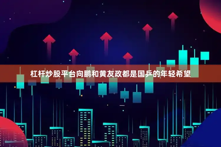 杠杆炒股平台向鹏和黄友政都是国乒的年轻希望