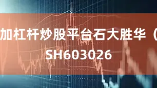 加杠杆炒股平台石大胜华（SH603026