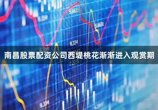 南昌股票配资公司西堤桃花渐渐进入观赏期